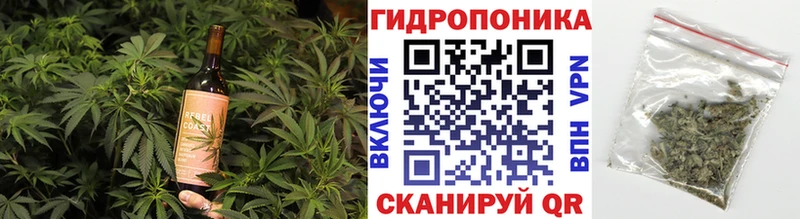 Canna-Cookies марихуана  как найти закладки  Великий Новгород 