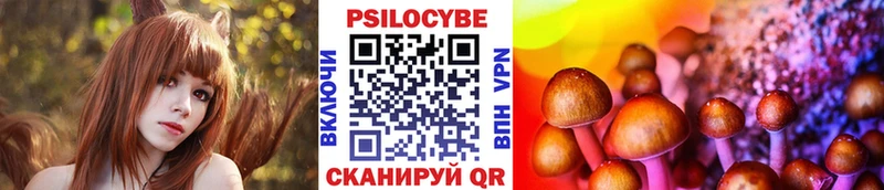 Галлюциногенные грибы Psilocybe  Великий Новгород 