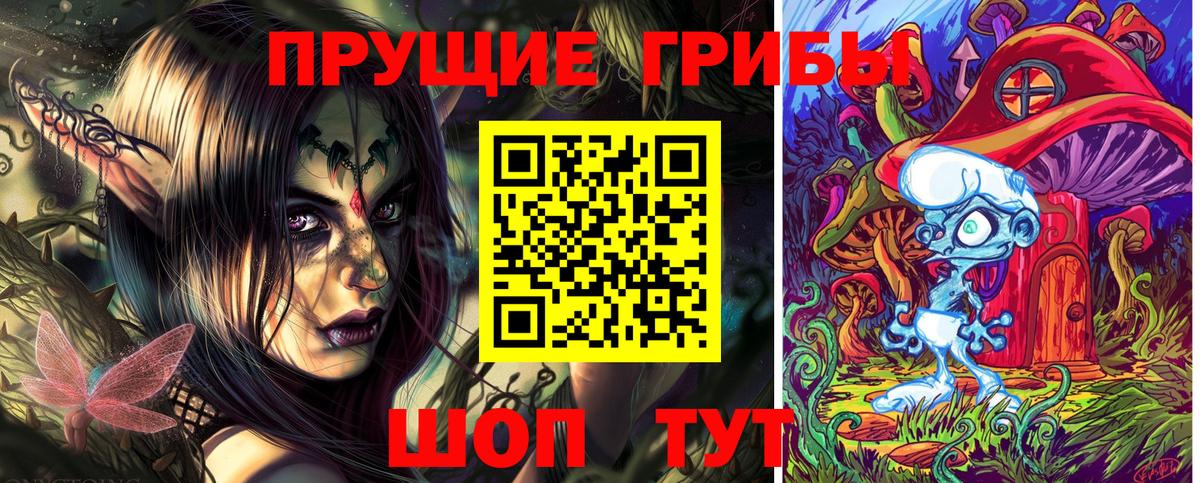 Галлюциногенные грибы GOLDEN TEACHER  Галлюциногенные грибы Psilocybe  Великий Новгород  Вход с VPN 